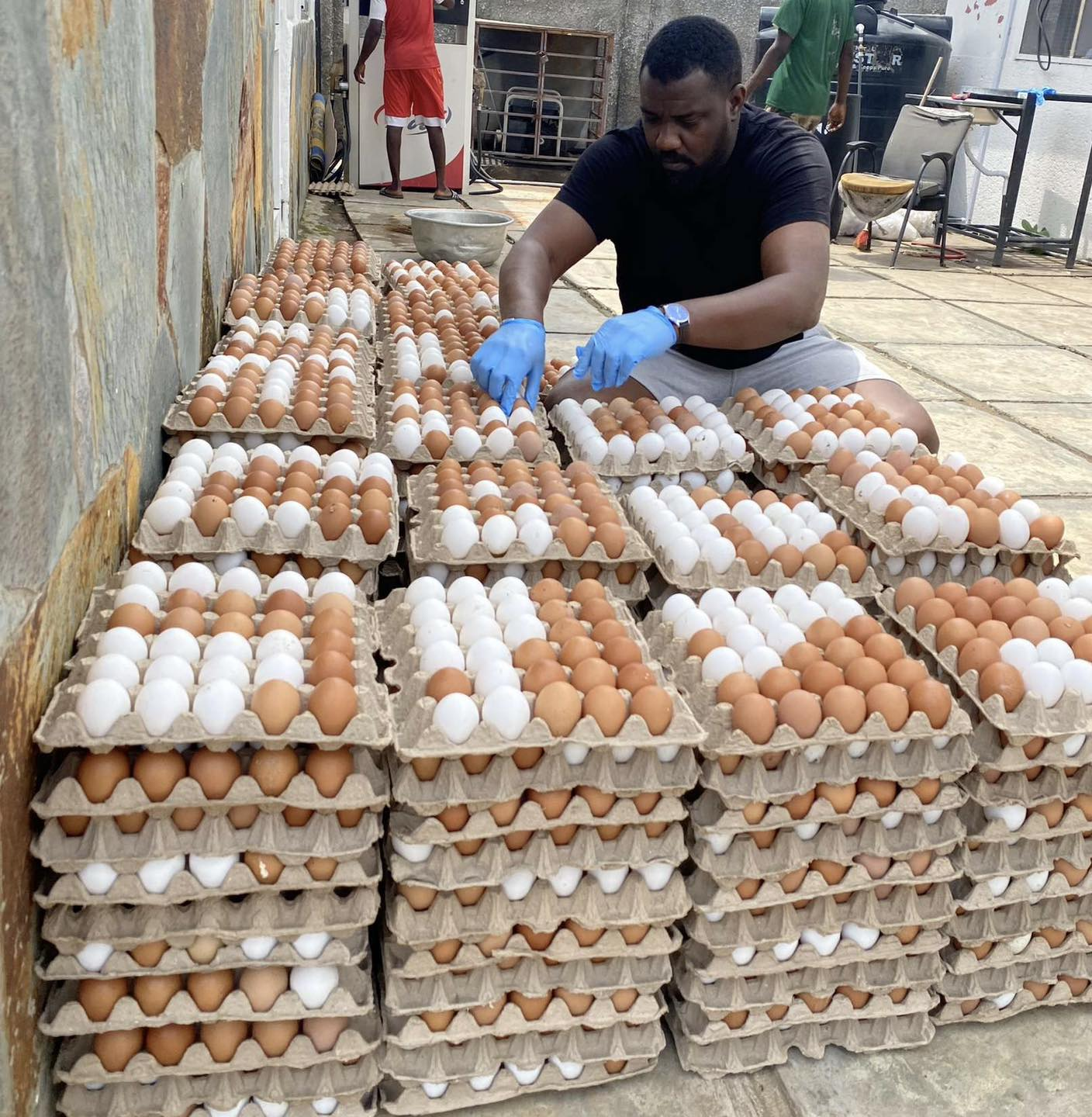 John Dumelo Egg Business